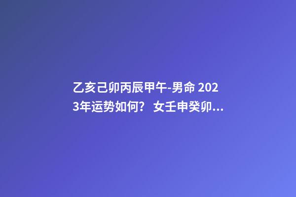 乙亥己卯丙辰甲午-男命 2023年运势如何？ 女壬申癸卯丁亥辛丑，2023年运势怎么样，谢谢-第1张-观点-玄机派